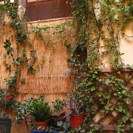 Ancient Rome Rom